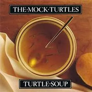 Turtle soup